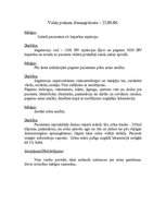 Prakses atskaite 'Valsts prakses dienasgrāmata', 4.