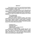 Referāts 'Mārketings', 4.