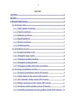 Referāts 'Investīciju projekta novērtēšana', 2.