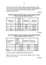 Referāts 'Investīciju projekta novērtēšana', 19.