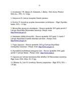 Referāts 'Investīciju projekta novērtēšana', 25.