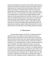 Diplomdarbs 'Klientu piesaiste un noturēšana SIA "ARBO Dizains"', 40.