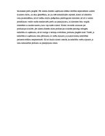 Diplomdarbs 'Klientu piesaiste un noturēšana SIA "ARBO Dizains"', 60.