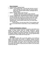 Konspekts 'Balzaks "Gorio tēvs"', 3.