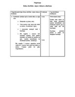 Paraugs 'Vingrinājumi nūjošanā - roku darbība', 1.