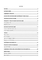 Konspekts 'Betona dekoratīvās apdares materiālu ražotne', 6.