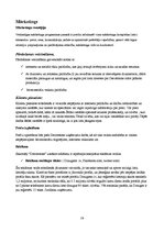 Konspekts 'Betona dekoratīvās apdares materiālu ražotne', 31.