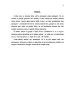 Referāts 'Japānas dabas resursi', 3.