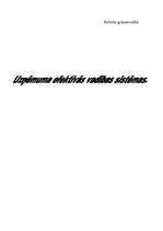 Konspekts 'Uzņēmuma efektīvās vadīšanas sistēmas', 1.