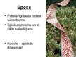 Prezentācija 'Eposs', 4.