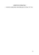 Paraugs 'Transporta vadības diskrētie modeļi', 20.