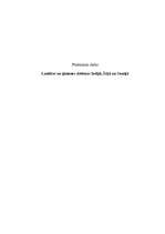 Prezentācija 'Ģimene un laulība Indijā, Īrijā un Somijā', 26.