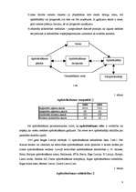 Referāts 'Finanšu risku apdrošināšana un pārapdrošināšana', 8.