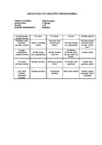 Prakses atskaite 'Vērošanas prakses dienasgrāmata', 11.