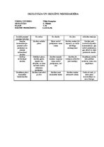 Prakses atskaite 'Vērošanas prakses dienasgrāmata', 13.