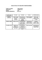 Prakses atskaite 'Vērošanas prakses dienasgrāmata', 16.