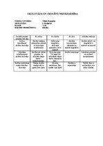 Prakses atskaite 'Vērošanas prakses dienasgrāmata', 17.