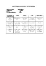 Prakses atskaite 'Vērošanas prakses dienasgrāmata', 20.