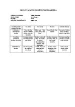 Prakses atskaite 'Vērošanas prakses dienasgrāmata', 21.