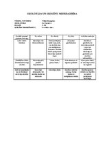 Prakses atskaite 'Vērošanas prakses dienasgrāmata', 27.