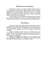 Prakses atskaite 'Vērošanas prakses dienasgrāmata', 32.