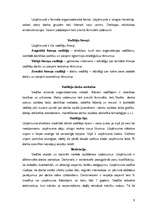 Konspekts 'Organizācijas darbības analīze', 8.