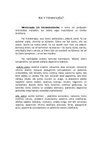 Referāts 'Hidroterapija', 3.