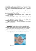 Referāts 'Hidroterapija', 6.