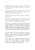 Referāts 'Hidroterapija', 11.