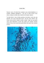 Referāts 'Hidroterapija', 17.