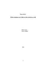 Paraugs 'Zefīra ražošana un tā dzīves cikla ietekme uz vidi', 2.