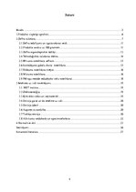 Paraugs 'Zefīra ražošana un tā dzīves cikla ietekme uz vidi', 4.