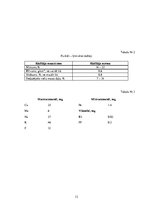 Paraugs 'Zefīra ražošana un tā dzīves cikla ietekme uz vidi', 12.