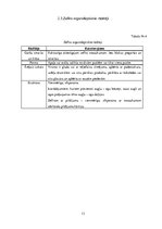 Paraugs 'Zefīra ražošana un tā dzīves cikla ietekme uz vidi', 13.