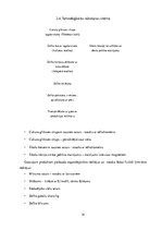 Paraugs 'Zefīra ražošana un tā dzīves cikla ietekme uz vidi', 14.