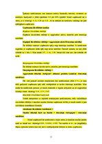 Referāts 'SIA "G.L.A." saimnieciskās darbības analīze', 11.