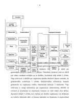 Referāts 'Uzņēmuma "Moduls – Rīga" darba resursu izmantošanas efektivitātes paaugstināšana', 8.