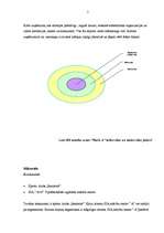 Prakses atskaite 'Mārketinga prakse', 5.