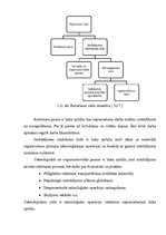 Referāts 'Ražošanas cikls un tā ietekmējošie faktori', 7.