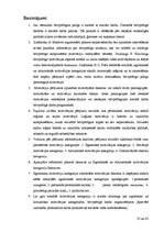 Referāts 'Brīvprātīgo palīgu motivēšana strādāt sociālo darbu Ogres rajonā', 35.