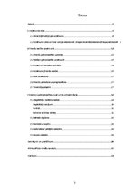 Prakses atskaite 'Prakses pārskats internacionālā uzņēmumā', 3.