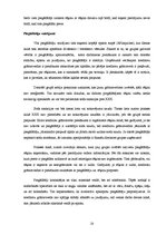 Prakses atskaite 'Prakses pārskats internacionālā uzņēmumā', 20.