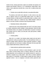 Prakses atskaite 'Prakses pārskats internacionālā uzņēmumā', 26.