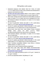 Prakses atskaite 'Prakses pārskats internacionālā uzņēmumā', 30.