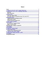 Referāts 'Uzņēmuma mārketinga vides un stratēģijas analīze un darbības plānošana', 2.