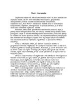 Referāts 'Uzņēmuma mārketinga vides un stratēģijas analīze un darbības plānošana', 9.