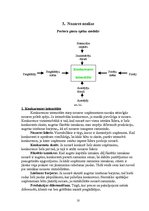 Referāts 'Uzņēmuma mārketinga vides un stratēģijas analīze un darbības plānošana', 10.
