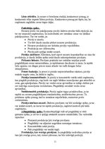 Referāts 'Uzņēmuma mārketinga vides un stratēģijas analīze un darbības plānošana', 11.