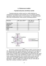 Referāts 'Uzņēmuma mārketinga vides un stratēģijas analīze un darbības plānošana', 17.