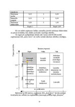 Referāts 'Uzņēmuma mārketinga vides un stratēģijas analīze un darbības plānošana', 19.